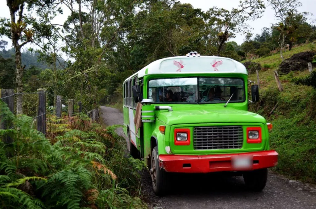 Un bus en una carretera de montaña entre el bosque